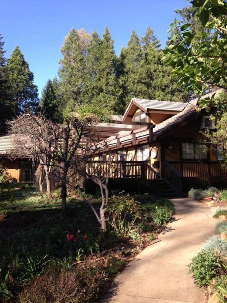 Harmony Ridge Lodge Nevada City Exterior photo