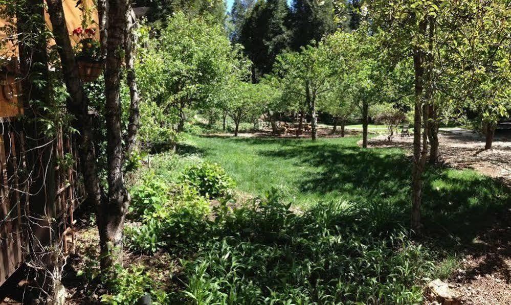 Harmony Ridge Lodge Nevada City Exterior photo